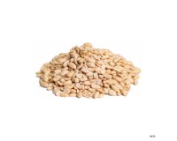 Dried Nuts & Seeds