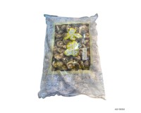 Dried Food
