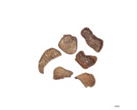 Dried Mushroom & Fungus