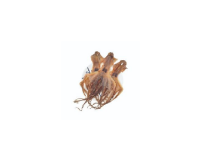 Dried Seafood