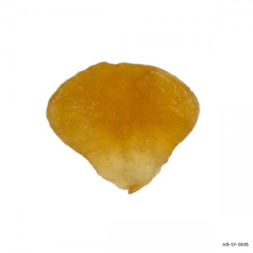 Dried/Fried Fish Maw