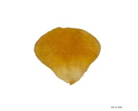 Dried/Fried Fish Maw
