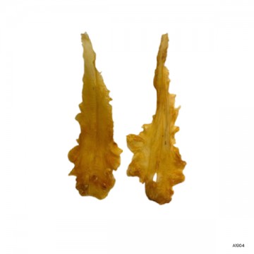 Dried/Fried Fish Maw