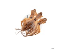 Dried Fish