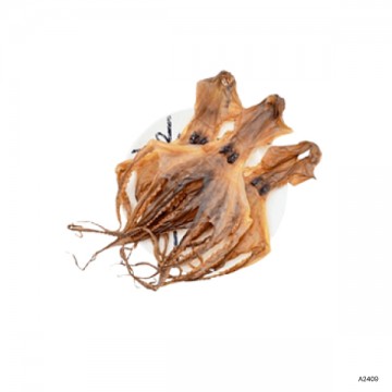 Dried Fish
