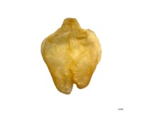 Dried/Fried Fish Maw
