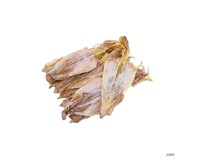 Dried Fish