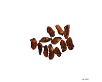Dried Oyster
