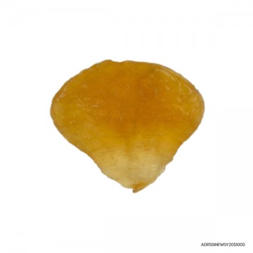 Dried/Fried Fish Maw