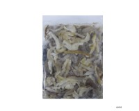 Frozen Sea Cucumber