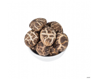 Dried Mushroom & Fungus