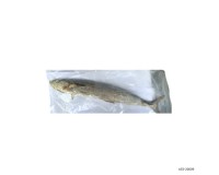 Preserved Seafood