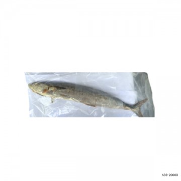 Preserved Seafood