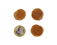 Dried Seafood