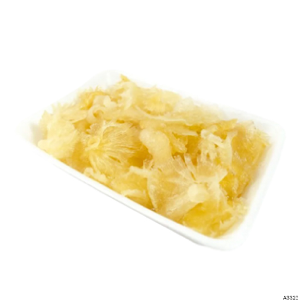 Frozen Shark's Fin (M)
