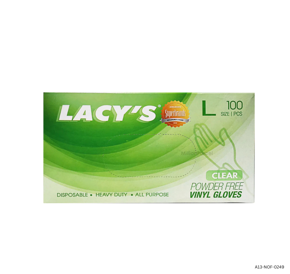 Disposable Vinyl Gloves Powder Free (L)